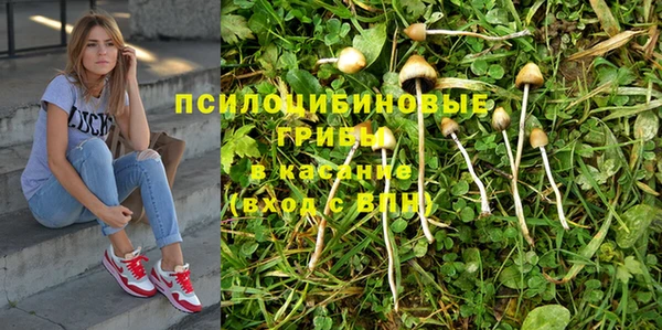 ГАЛЛЮЦИНОГЕННЫЕ ГРИБЫ Покров