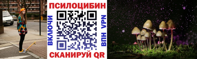 Псилоцибиновые грибы прущие грибы Геленджик